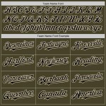 Custom Olive Black-Cream Line Authentic Salute To Service Baseball Jersey